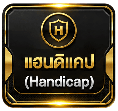 แฮนดิแคป (Handicap)